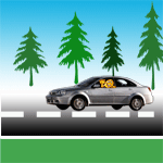 Аватара пользователя